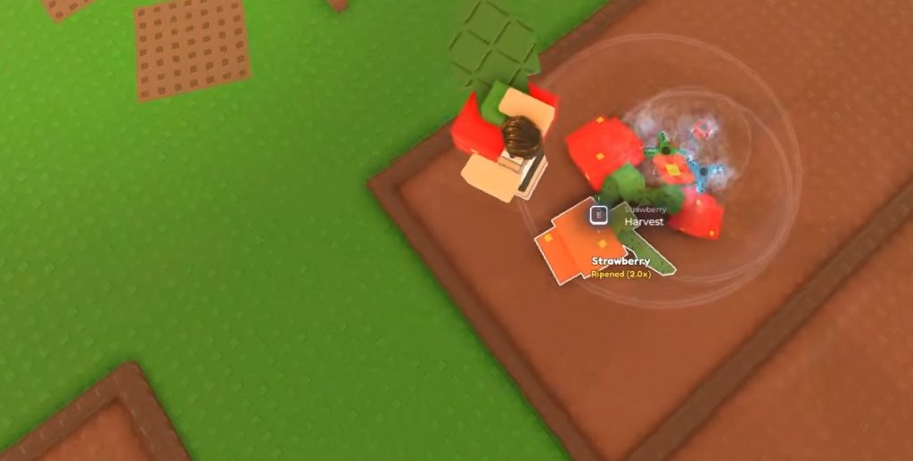 Garden Horizon Guide How to Grow the Biggest Fruit!