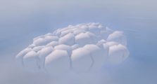 Above the Clouds Fisch