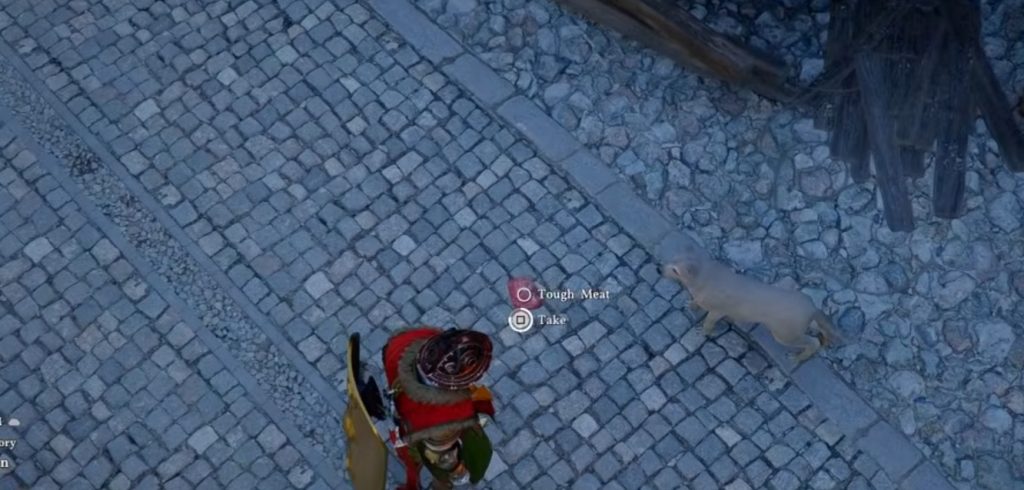 How to Get Pets Dog Crimson Desert Guide!
