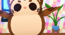How To Get Cat Owl in Adopt Me (New Birthday Update Guide)