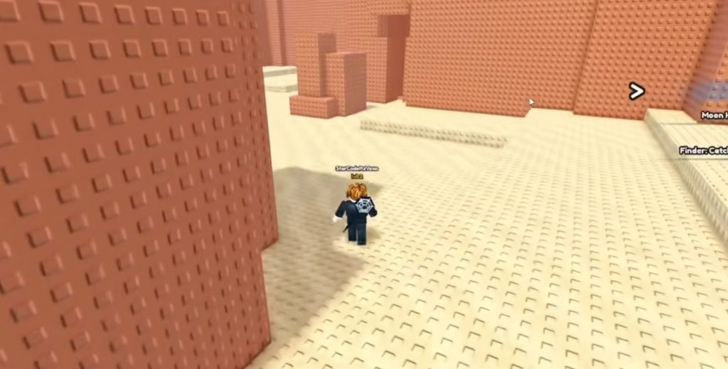 How To Unlock the Secret Tomb in Catch Bugs Guide!