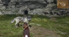 Direwolf Beast Game of Thrones Guide, Location & How to Unlock