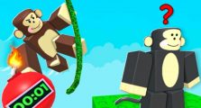 Monkey Bomb Tag Codes May 2026
