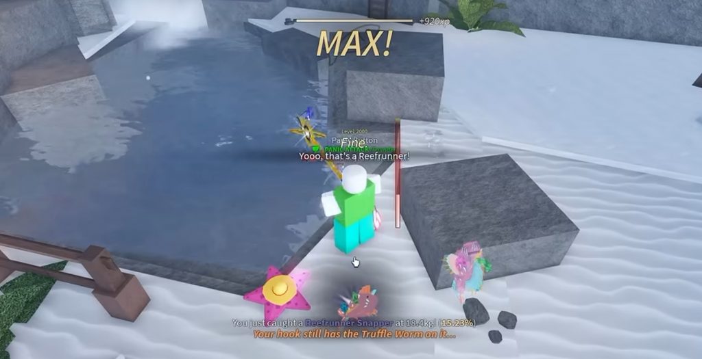 Fisch Sunhat Starfish Guide – Is the New Pet Worth Using for Money Farming?