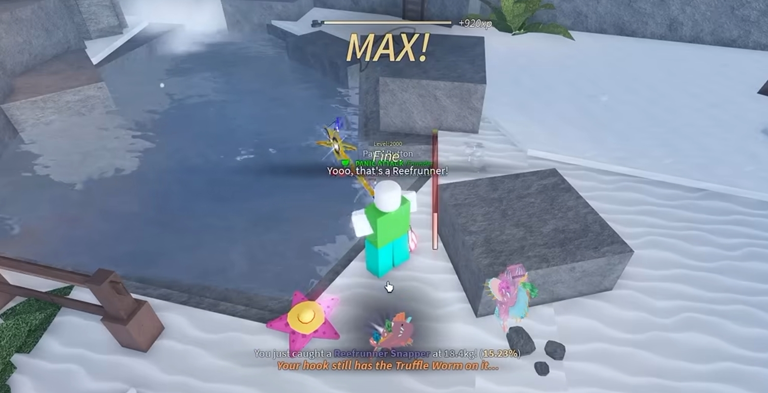 Fisch Sunhat Starfish Guide – Is the New Pet Worth Using for Money Farming?