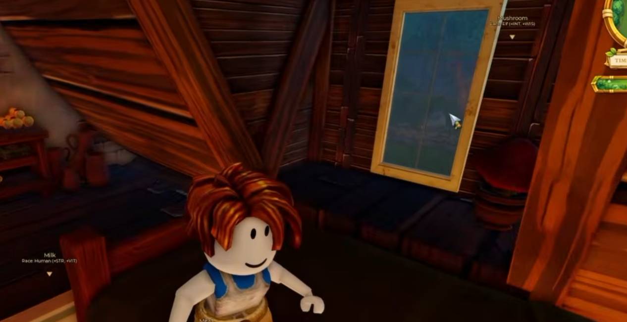 The Portal Roblox MMORPG Codes 2026