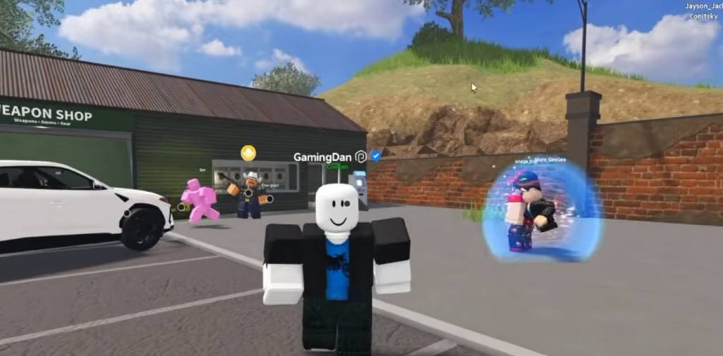 Best Money Farming Guide in San Diego Border Roleplay (Roblox)