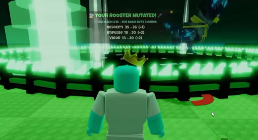Haunt Eggs Grow a Chicken Fighter, How to Get Guide!