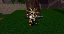 Slayers 2 Guide How to Get Firstlight Bladed Wagasa