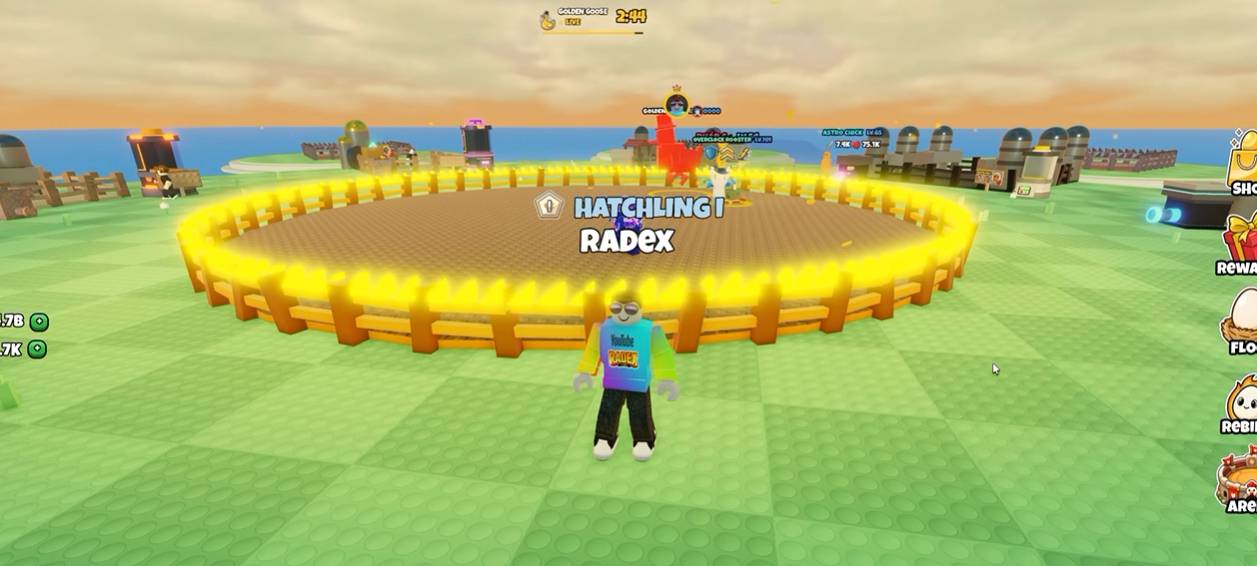 Trophy Egg Grow a Chicken Fighter Guide, How to Obtain Fast!
