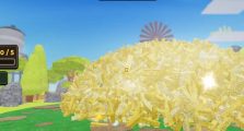 Find the Needle Codes