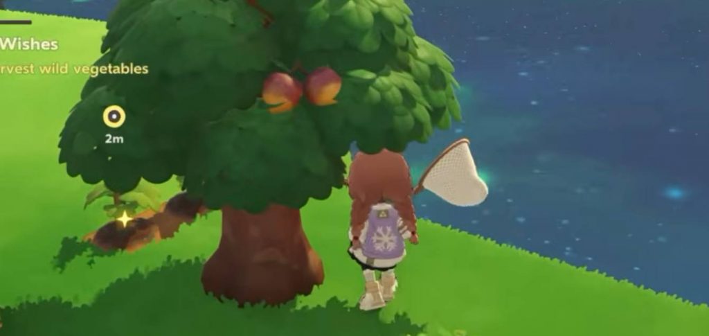 15+ Must-Do Daily Tasks in Petit Planet to Progress Fast Guide