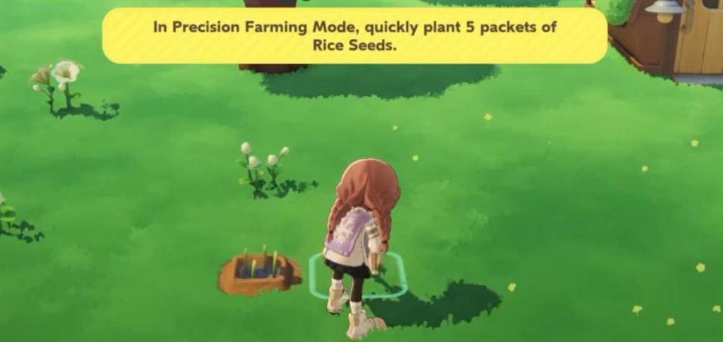 15+ Must-Do Daily Tasks in Petit Planet to Progress Fast Guide