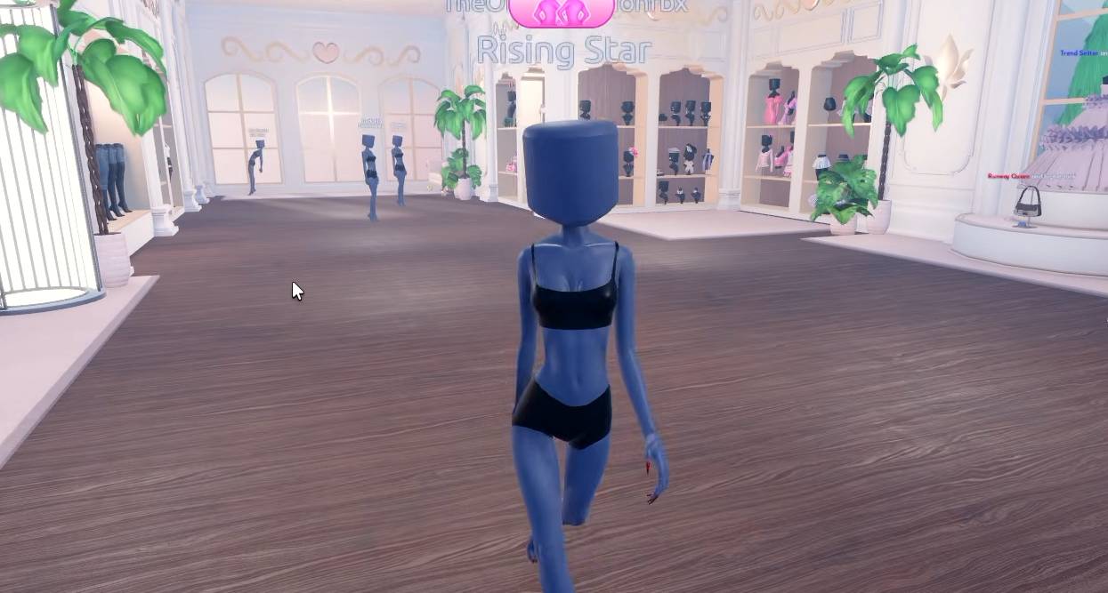 How to Get Dress to Impress Secret Item in The Hunt 20 Roblox