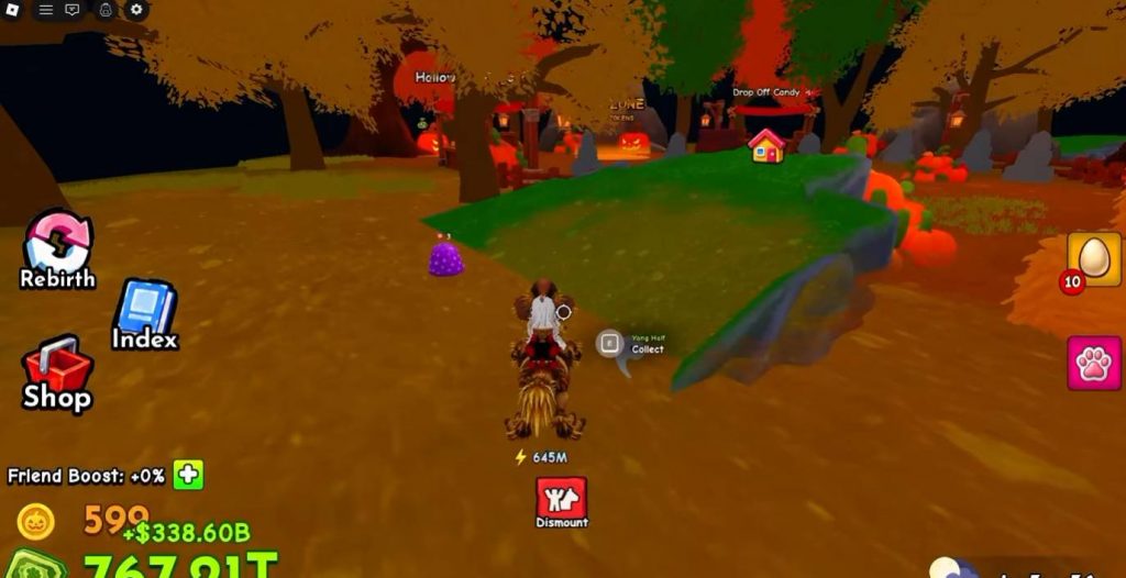 Ride a Pet Codes Ride a Pet Tier List