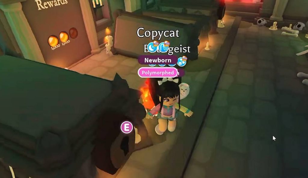 How to Unlock the Shoebill Pet in Adopt Me Guide