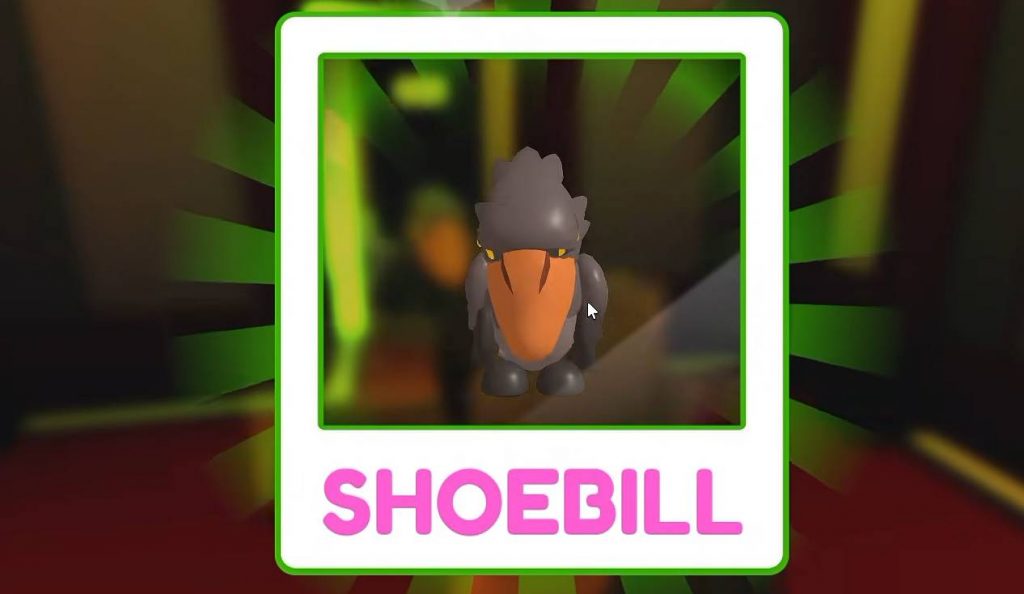 How to Unlock the Shoebill Pet in Adopt Me Guide